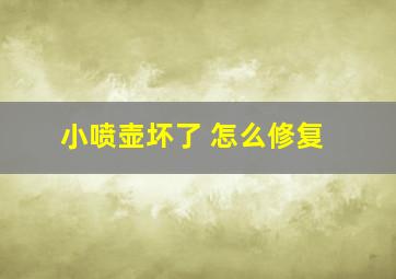 小喷壶坏了 怎么修复